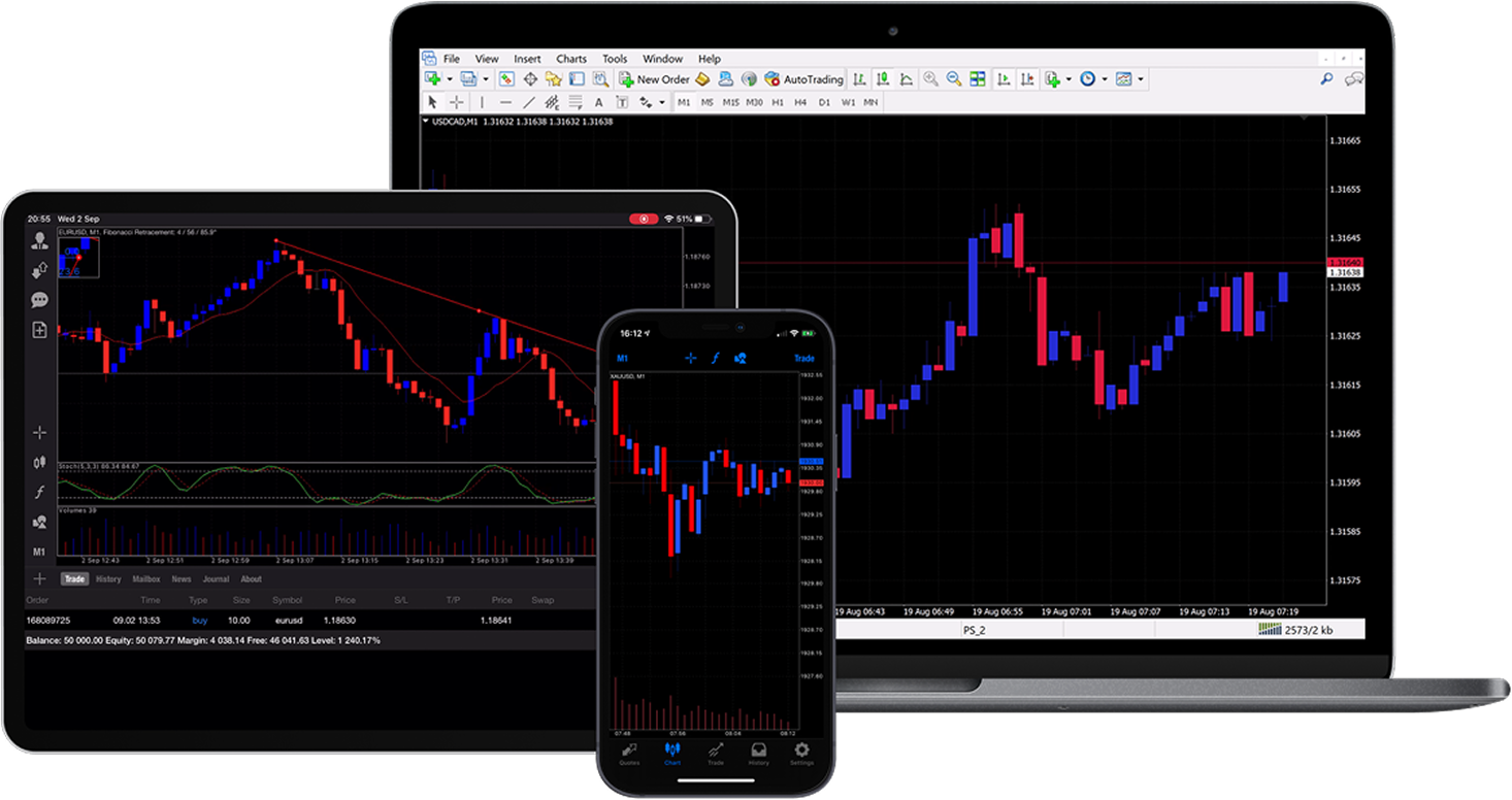 Баннер платформы